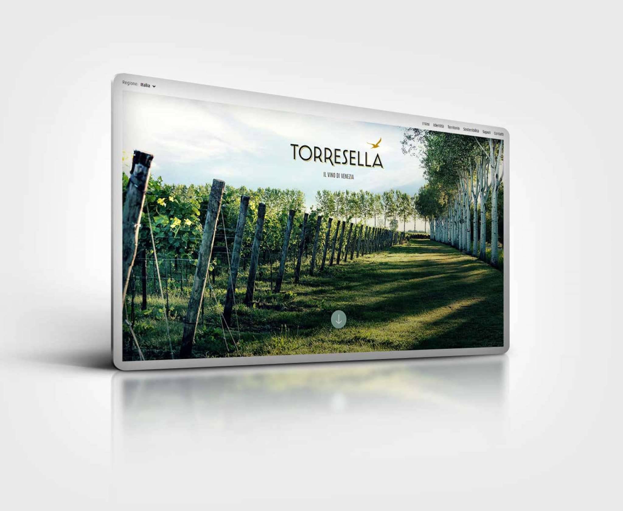 Torresella Torresella