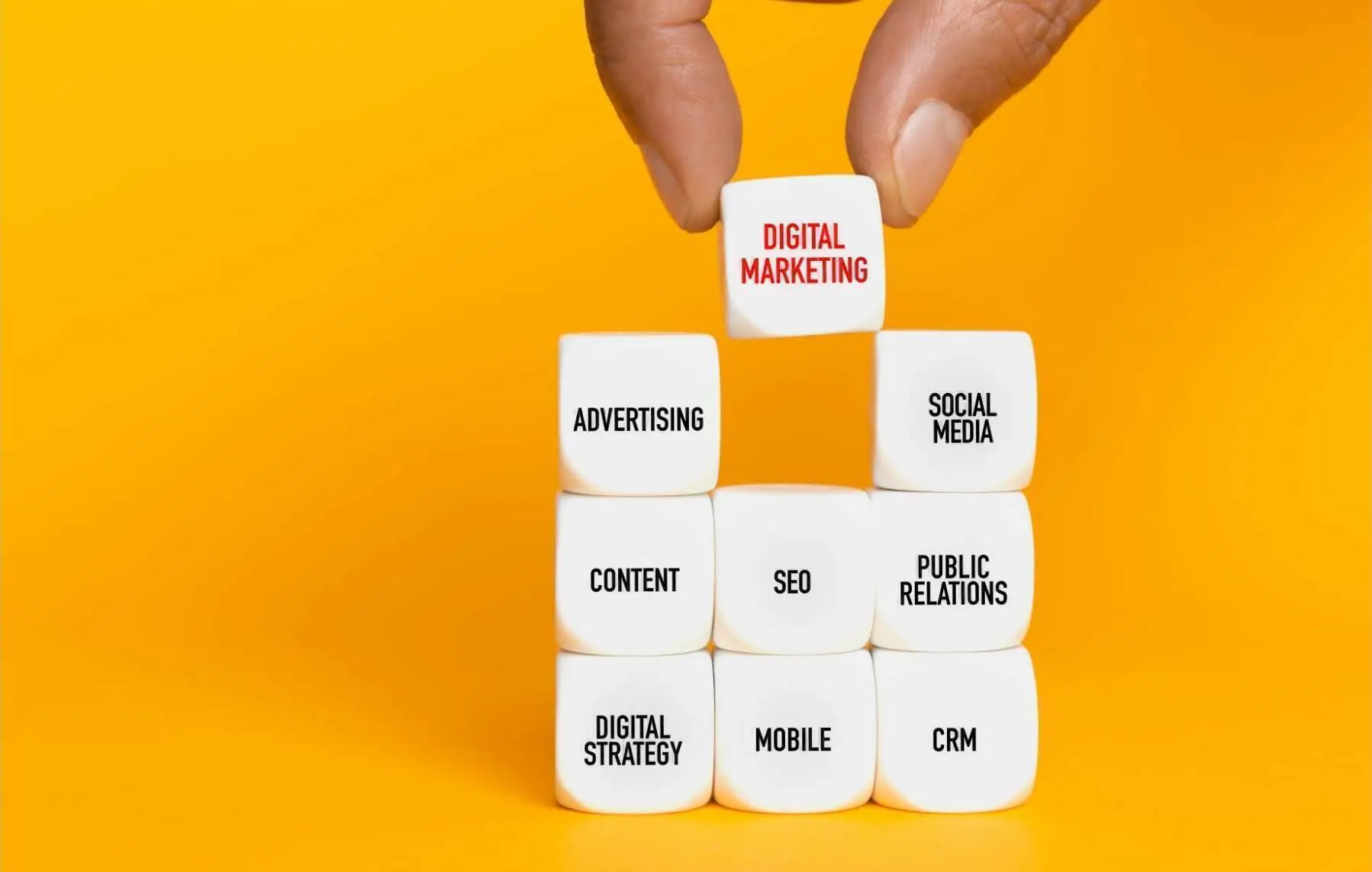 Cerchi una Consulenza Web Marketing?